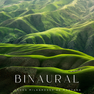 Eliminando Distracciones