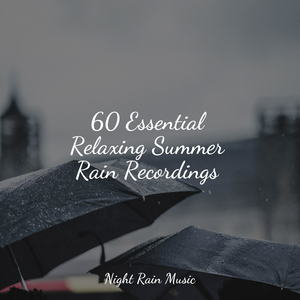 Relaxing Birdsong Ambience