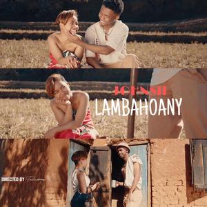 Lambahoany