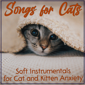 Anti-Anxiety Cure