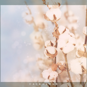 하나 보다는 둘