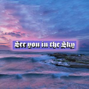 See you in the Sky