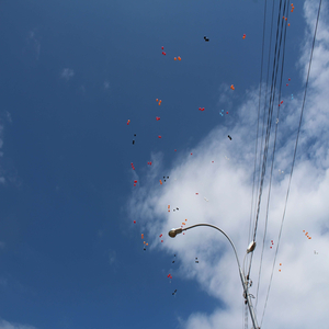 Одинаковые