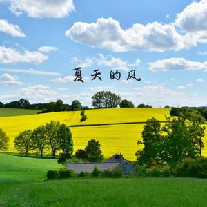 夏天的风(女生版)