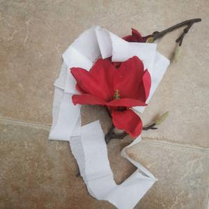 不散（翻自 黄龄）