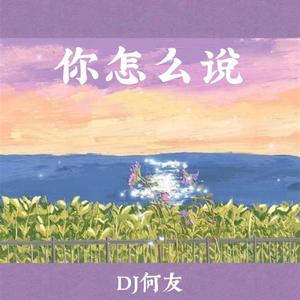 原来是萝卜丫 - 你怎么说 (DJ何友版)
