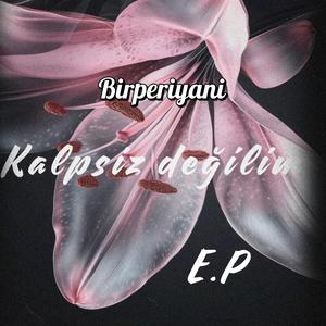 Dene beni