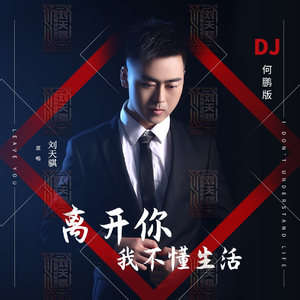 离开你我不懂生活 (DJ版)