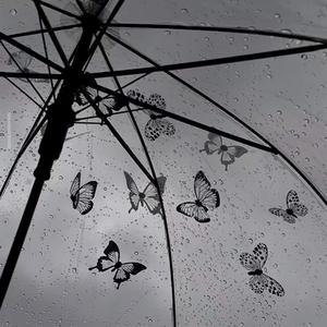 凌晨三点的雨幕