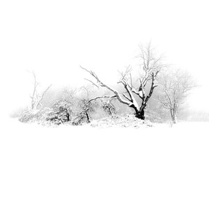 残月落雪