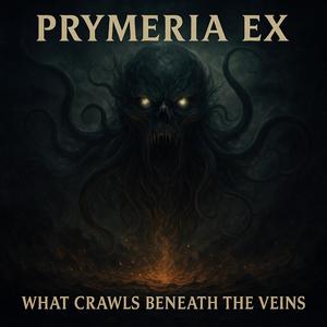 Sanctum of the Fractured