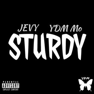 STURDY