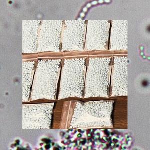 Ive Been Dreading This Moment My Whole Life