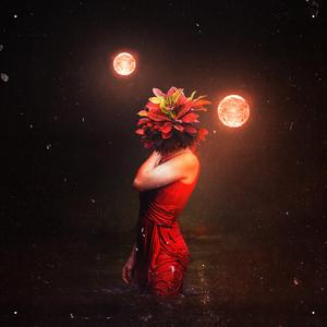 Autobot/Decepticon Battle