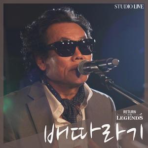 그댄 봄비를 무척 좋아하나요 (Live Ver.)