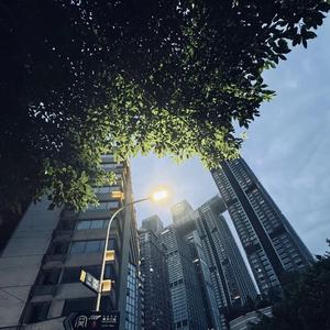 后来我们学会了装作没事