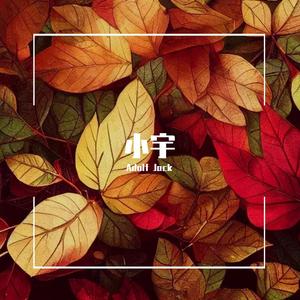 蓝心羽 - 小宇（Adolf Jack Remix）