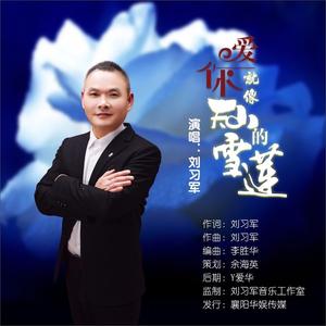 爱你就像天山的雪莲