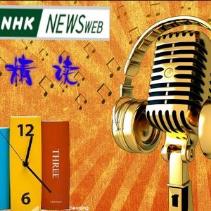 20101226NHK22点新闻