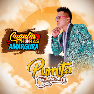 Cuantas Horas de Amargura