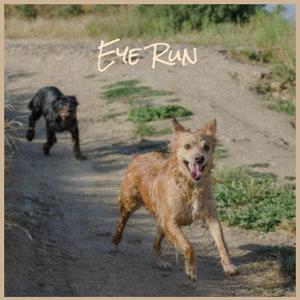 Eye Run