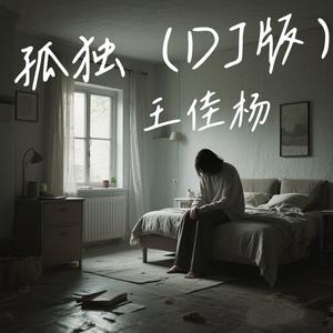 孤独 (DJ九零版)
