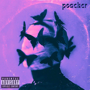 Poacher