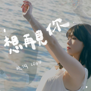 想再見你