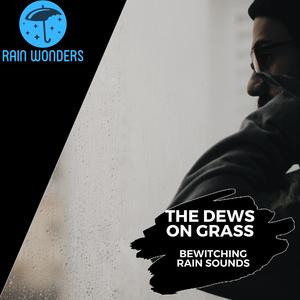 Fragrant Water Drops