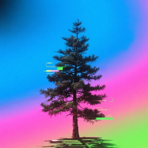 定风波·莫听穿林打叶声