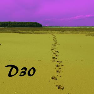 D30