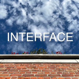 Interface