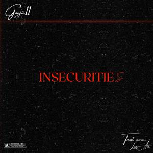 InsecuritieS