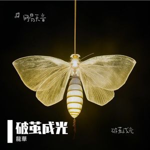 破茧成光-整曲