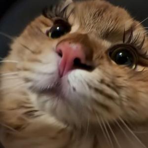 después de la 1 (sped up)