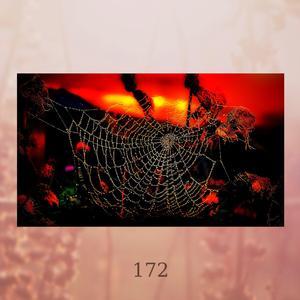 172