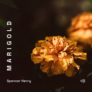 Marigold