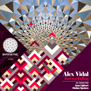 Forever Falling (Jaap Ligthart Remix)