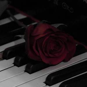 “315被打假匪帮” Wheezy & Southside Type Beat