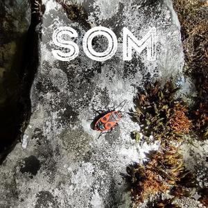Som