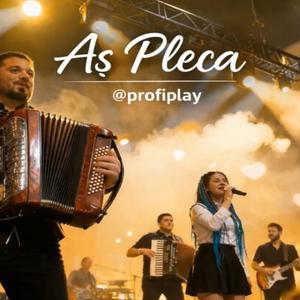 Aș pleca..