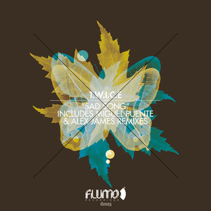 Sad Song (Alex James Remix)