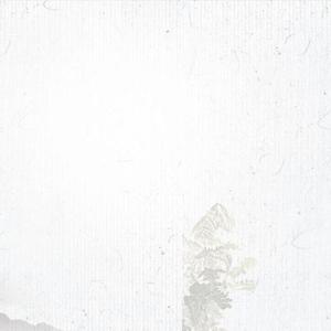 JC 陈咏桐-说散就散（理央 remix）