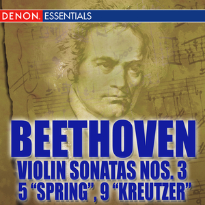 Sonata for Violin and Piano No. 9 in A Major, Op. 47 "Kreutzer": II. Andante con variazioni
