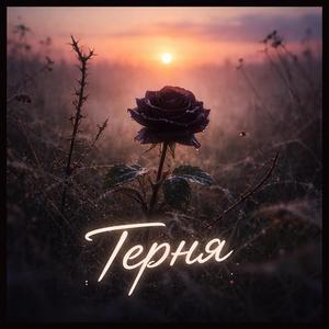 Терня