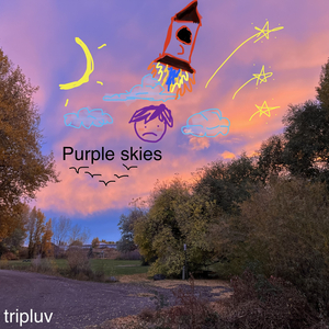 Purple Skies