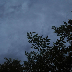 ALONE（Resting boy remix）