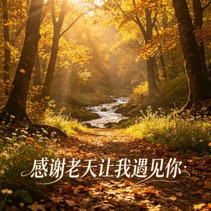 感谢老天让我遇见你（DJ版）