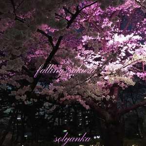Falling Sakura 2