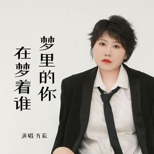 梦里的你在梦着谁 (DJAs版)